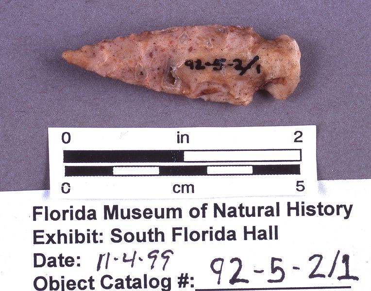 Knife or projectile point, chert, A.D. 550-700, Pineland, Lee Co. (92-5-2/1)