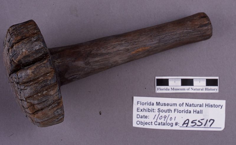 Pestle, lignumvitae wood, A.D. 700-1500, Key Marco, Collier Co. (A-5517)