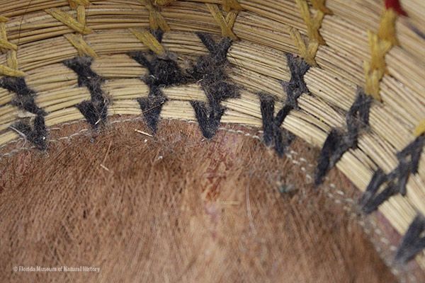 Basket, Seminole, sweetgrass, cotton thread, palmetto fiber, circa 20th c., 9.5 x 19.5 cm. Donated by Keith and Sara Reeves (2012-46-8).