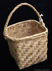 Figure 3: Berry Basket, Miccosukee, 1942, 9.5 x 10 x 7 cm (16 cm w/ handle). Collected at Big Cypress by John M. Goggin (3933-92919).