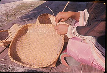 Figure 2: Photograph of Seminole basket maker, 1960. Donated by George L. Crutcher (79-8-024).