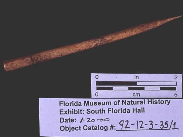 Perforator, deer bone, A.D. 1270-1330, Pineland, Lee Co. (92-12-3-35/1)