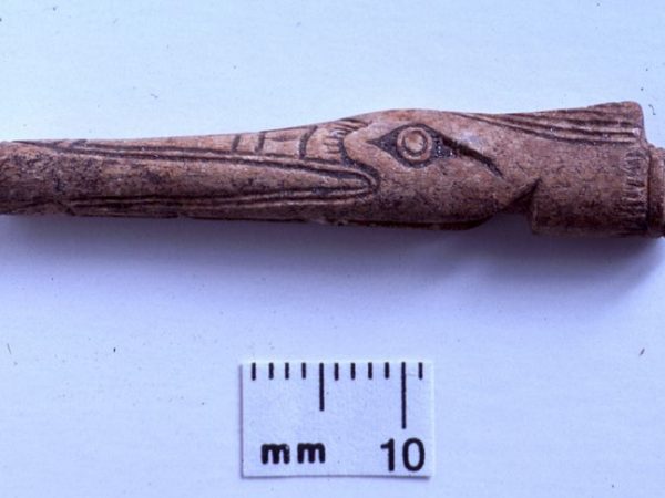 Pin with carved bird design, bone, A.D. 850-1050, Pineland, Lee Co. (95-2-22)