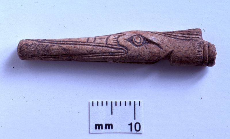 Pin with carved bird design, bone, A.D. 850-1050, Pineland, Lee Co. (95-2-22)