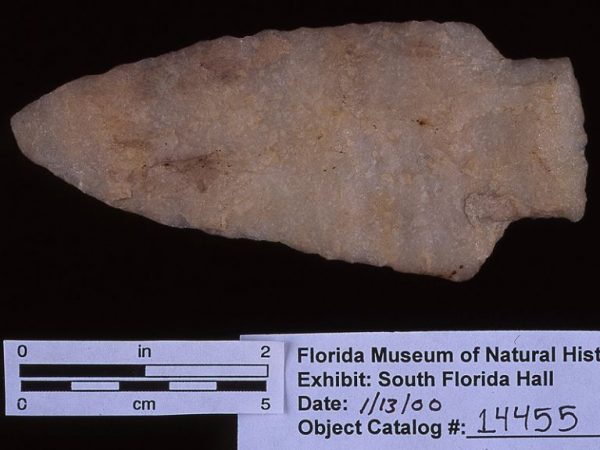 Knife or projectile point, quartzite, date unknown, Palm Beach Co. (14455)