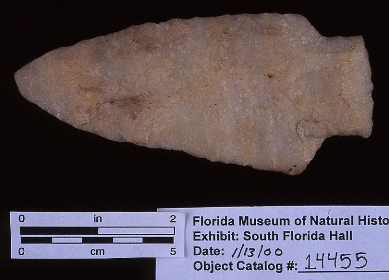 Knife or projectile point, quartzite, date unknown, Palm Beach Co. (14455)
