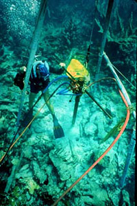 Research biologists. Photo courtesy OAR/National Undersea Research Program