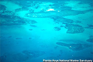 Florida reef tract. Photo courtesy Florida Keys National Marine Sanctuary