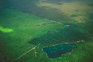 Aerial view of Everglades National Park. Photo courtesy South Florida Water Management District