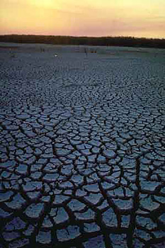 Dried canal. Photo courtesy South Florida Water Management District