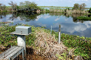 Water data collection station. Photo © Cathleen Bester/Florida Museum