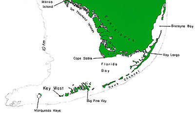 Map of South Florida including Florida Keys, Florida Bay, and the Everglades. Image courtesy U.S. Fish and Wildlife Service