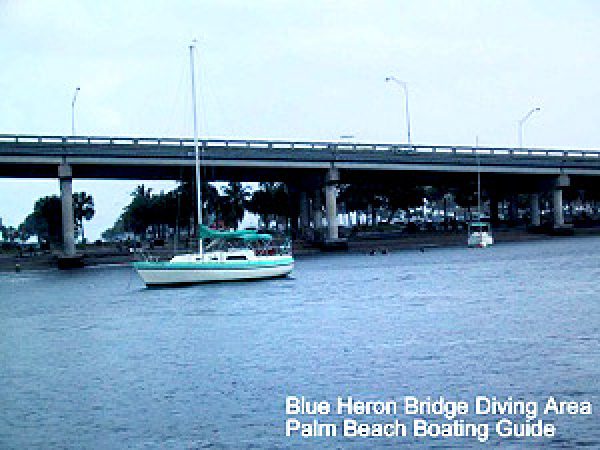 Blue Heron Bridge Diving Area
