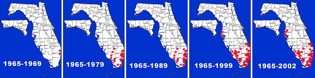 Map of Black Acara range in Florida