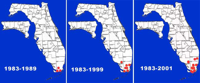 Map of Mayan Cichlid (Cichlasoma urophthalmus) range in Florida