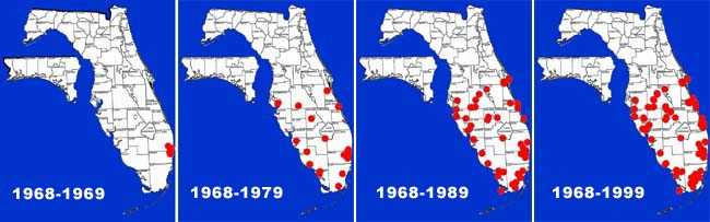 Map of Walking Catfish (Clarias batrachus) range in Florida