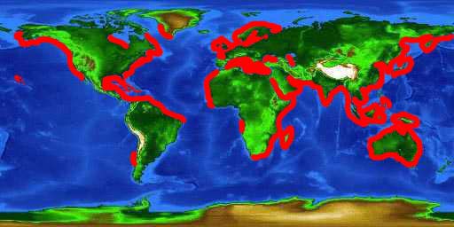 Seagrass world map