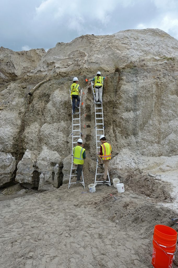 Four people standing on ladders leaning against a tall embankment