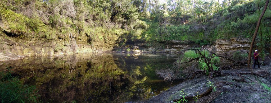 river along a high wooded embankment
