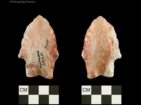 Arredondo | Early Archaic