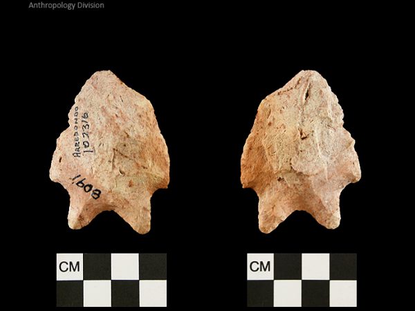 Arredondo | Early Archaic