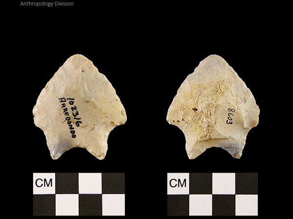 Arredondo | Early Archaic