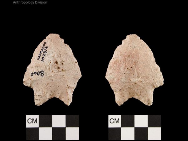 Arredondo | Early Archaic