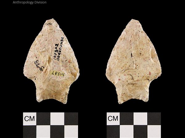 Arredondo | Early Archaic