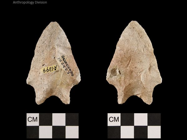 Arredondo | Early Archaic