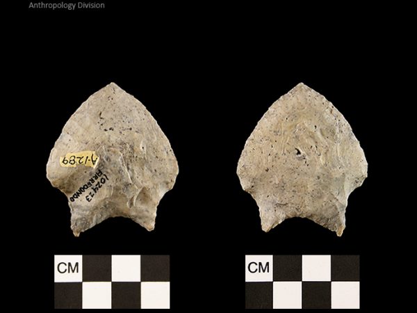 Arredondo | Early Archaic