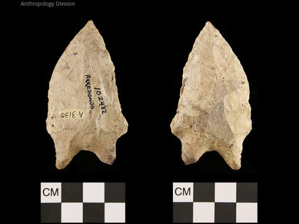 Arredondo | Early Archaic