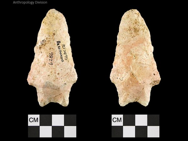 Arredondo | Early Archaic