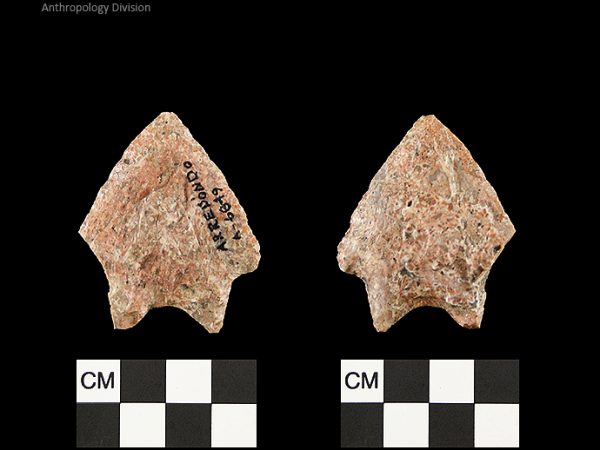 Arredondo | Early Archaic