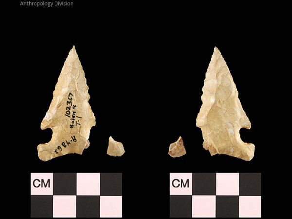 Bolen Beveled Subtype 1 | Early Dalton (Bullen)/Late Paleoindian (Milanich)
