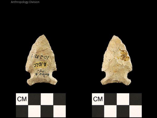 Bolen Beveled Subtype 1 | Early Dalton (Bullen)/Late Paleoindian (Milanich)