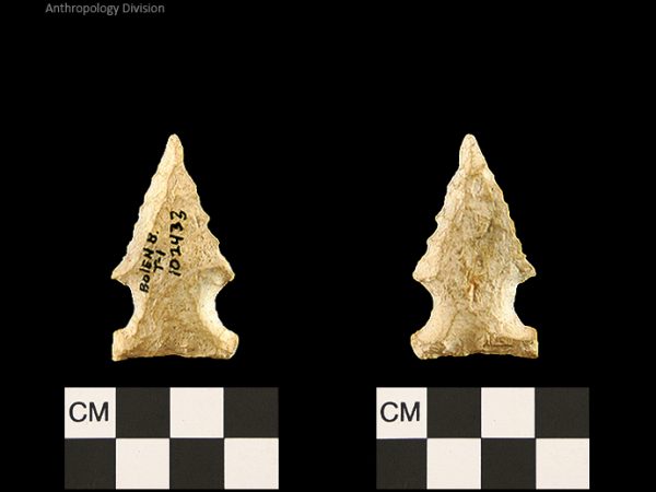 Bolen Beveled Subtype 1 | Early Dalton (Bullen)/Late Paleoindian (Milanich)