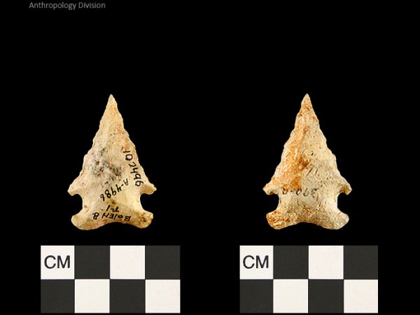 Bolen Beveled Subtype 1 | Early Dalton (Bullen)/Late Paleoindian (Milanich)
