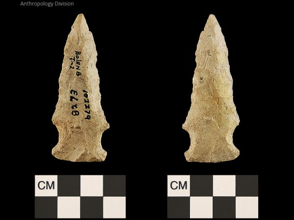Bolen Beveled Subtype 2 | Early Dalton (Bullen)/Late Paleoindian (Milanich)