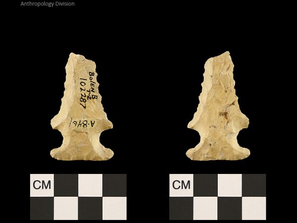 Bolen Beveled Subtype 2 | Early Dalton (Bullen)/Late Paleoindian (Milanich)