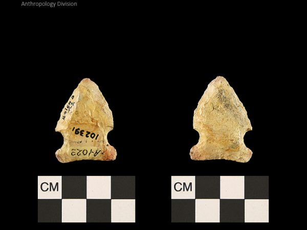 Bolen Beveled Subtype 2 | Early Dalton (Bullen)/Late Paleoindian (Milanich)