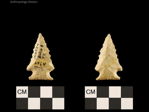Bolen Beveled Subtype 2 | Early Dalton (Bullen)/Late Paleoindian (Milanich)