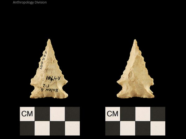 Bolen Beveled Subtype 2 | Early Dalton (Bullen)/Late Paleoindian (Milanich)
