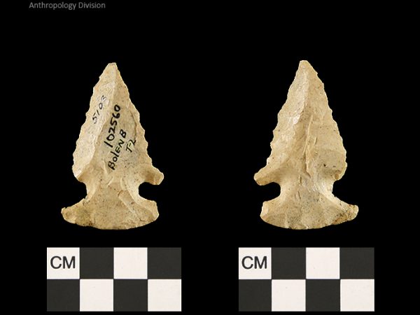 Bolen Beveled Subtype 2 | Early Dalton (Bullen)/Late Paleoindian (Milanich)