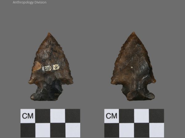 Bolen Beveled Subtype 2 | Early Dalton (Bullen)/Late Paleoindian (Milanich)