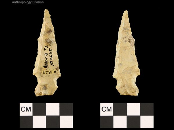 Bolen Beveled Subtype 2 | Early Dalton (Bullen)/Late Paleoindian (Milanich)