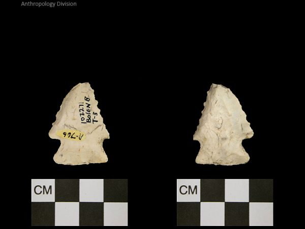 Bolen Beveled Subtype 3 | Early Dalton (Bullen)/Late Paleoindian (Milanich)