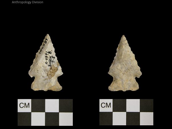 Bolen Beveled Subtype 3 | Early Dalton (Bullen)/Late Paleoindian (Milanich)