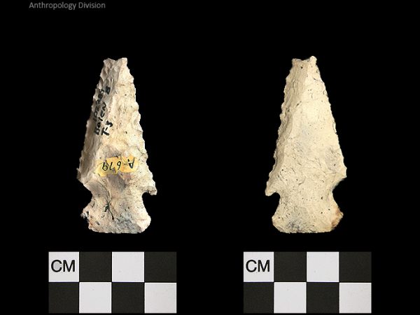 Bolen Beveled Subtype 3 | Early Dalton (Bullen)/Late Paleoindian (Milanich)