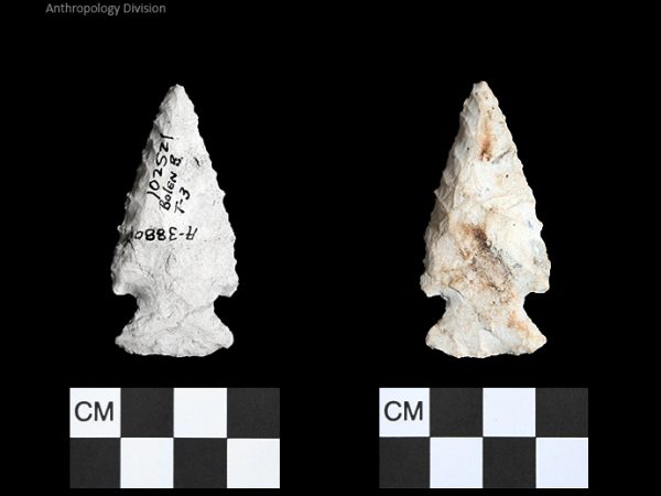 Bolen Beveled Subtype 3 | Early Dalton (Bullen)/Late Paleoindian (Milanich)