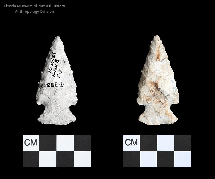 Bolen Beveled Subtype 3 | Early Dalton (Bullen)/Late Paleoindian (Milanich)